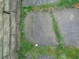 image of grave number 947292